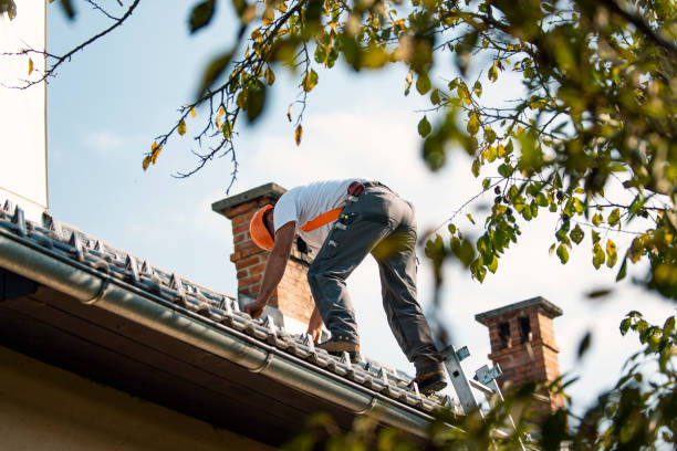 Gutter Installation and Roofing in Cedar Bluff, AL
