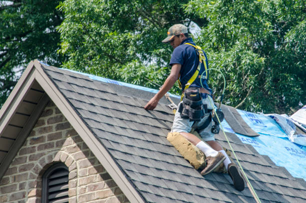 Gutter Installation and Roofing in Cedar Bluff, AL